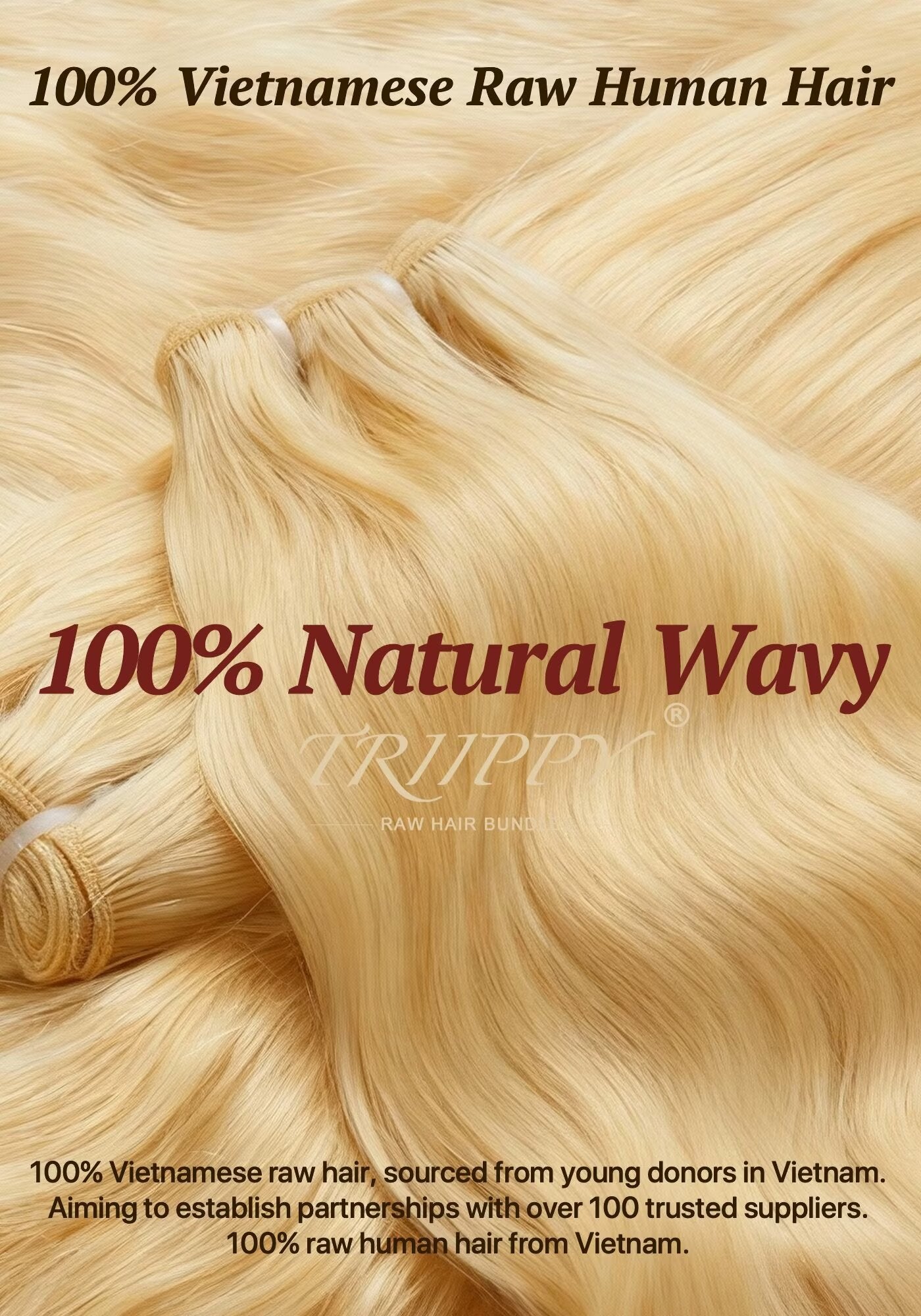 TRIIPPY Natural Honey Blonde Bundles Human Hair,100% Vietnamese Raw Human Hair Natural Body Wave,613 Sew in Weave Single Bundle,5X Lifespan Over Regular 613 Hair,No.1 Raw Hair Brand On Amazon