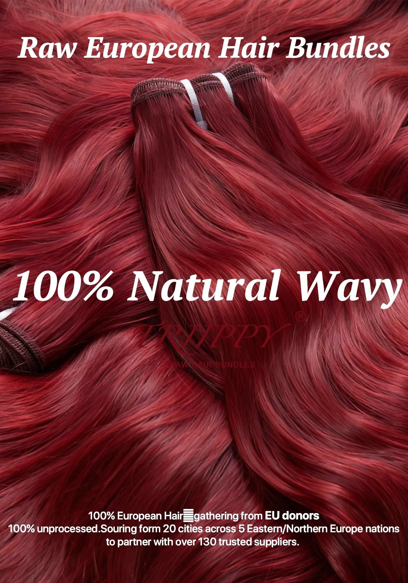 TRIIPPY Burgundy Natural Body Wave Bundles Human Hair,100% Vietnamese Raw Human Hair Sew in Weave 3 Bundles,5X Lifespan Over Regular 99j Hair,No.1 Raw Hair Brand On Amazon